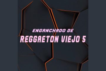 Enganchado De Reggaeton Viejo 5 (Remix)