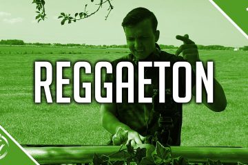 Reggaeton Mix 2021 | #14 | The Best of Reggaeton 2021 by Adrian Noble | Ozuna, J Balvin, Bad Bunny